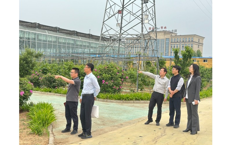 河北證監局監管處領導蒞臨潤農節水開展例行走訪調研，指導公司高質量發展